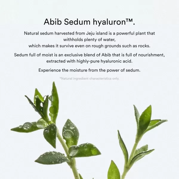 Abib Collagen Gel Mask Sedum Jelly 10 Sheets I Vegan Collagen Hydrating Hyaluronic Acid Hydrogel Facial Mask