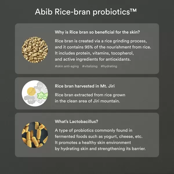 Abib Rice Probiotics Overnight Mask Barrier Jelly 271 fl oz I Intensive Hydrating Nourishing for Skin Barrier Bouncy Skin Texture Less Stress