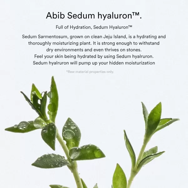 Abib Sedum Hyaluron Pad Hydrating Touch 75 Pads I Hyaluronic Acid Hydrating and Improving Skin Texture Mild Exfoliation