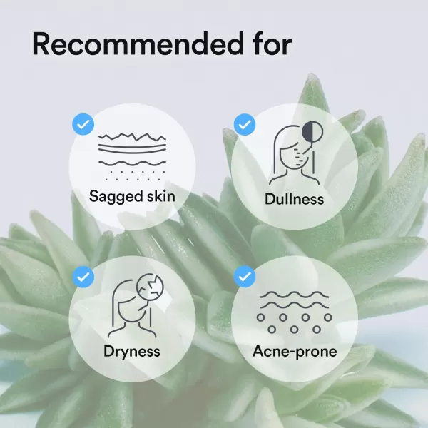imageAbib Collagen Gel Mask Jericho Rose Jelly 4 Sheets Nourishing I Korean Vegan Collagen Cooling Nourishing Hyaluronic Acid Hydrogel Face Mask Skin CareHydrating Sedum 4pcs