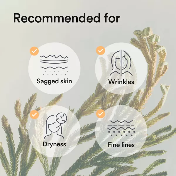 imageAbib Collagen Gel Mask Jericho Rose Jelly 4 Sheets Nourishing I Korean Vegan Collagen Cooling Nourishing Hyaluronic Acid Hydrogel Face Mask Skin CareNourishing Jericho Rose 10pcs