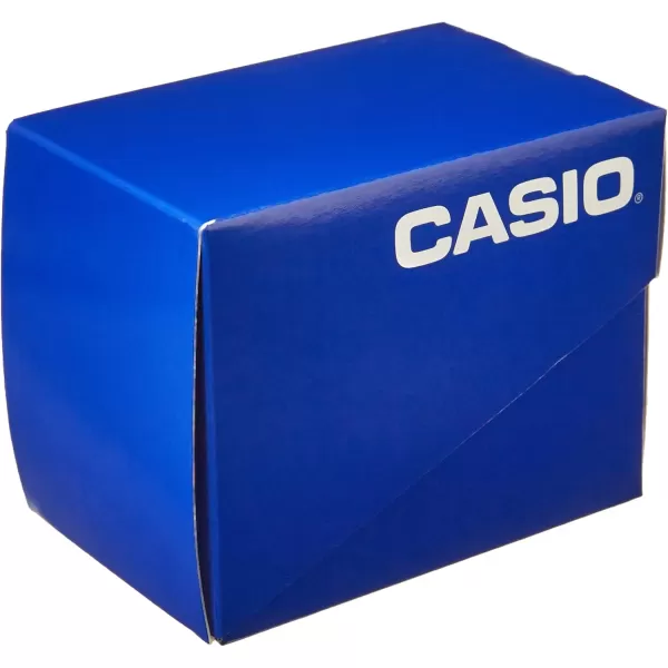 Casio Heavy Duty Digital 10 Year Battery