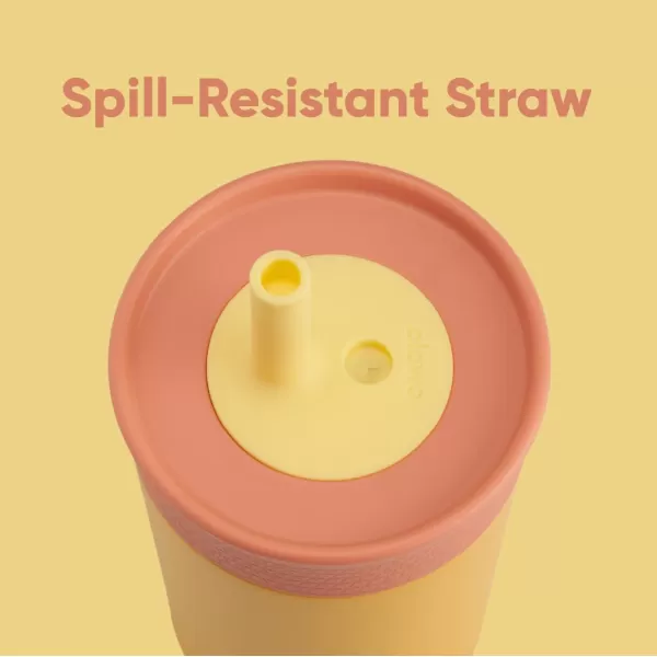 Owala Kids Insulation Stainless Steel Tumbler with Spill Resistant Flexible Straw Easy to Clean Kids Water Bottle Great for Travel Dishwasher Safe 12 Oz Peach and Yellow PicnicPurple  Pink