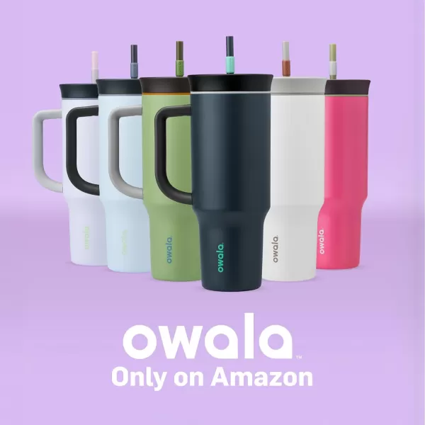 Owala Stainless Steel Triple Layer Insulated Travel Tumbler with Spill Resistant Lid Straw and Carry Handle BPA Free 40 oz Pink Watermelon BreezeBrave Adventures