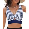 Blue Stripe