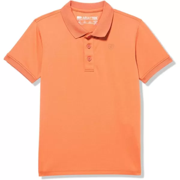 imageAriat Boys Tek PoloFoxes