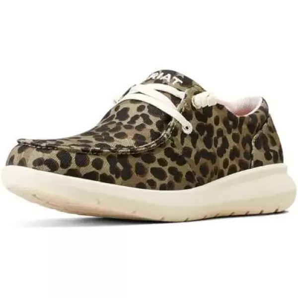 imageARIAT Womens Hilo Stretch Slip On Flats Casual  BlackOlive Leopard Print