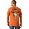 imageAriat Mens Graphic TShirtAdobe HeatherRattler Skull