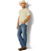 imageAriat Mens Graphic TShirtDesert Sage HeatherEagle Flag