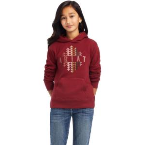 imageAriat Female REAL Beartooth Hoodie Rouge Red XSmall