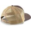 imageARIAT Mens A300003102BrownTan