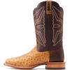 imageAriat Mens Broncy Cowboy BootAntique Saddle Fq Ostrich