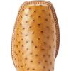 imageAriat Mens Dagger Cowboy BootAntique Saddle Fq Ostrich