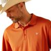 imageARIAT Mens Tek PoloFoxes