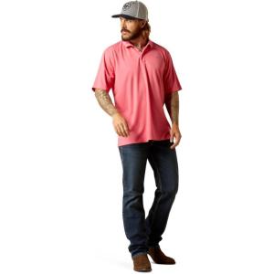 imageARIAT Mens Tek PoloHot Rose