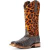 imageAriat Womens Donatella Western BootBrushed Chocolate Caiman Belly