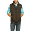imageARIAT Mens Cruis Insulated Vest Athletic Outerwear Casual Comfort Technology  BrownEspresso Heather
