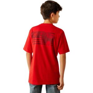 imageARIAT Boys Etched Buffalo Lof Flag TShirtRedline