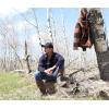 image:imageLegendary Whitetails Mens Long Sleeve Button Down 100 Cotton Flannel ShirtNavy Heather