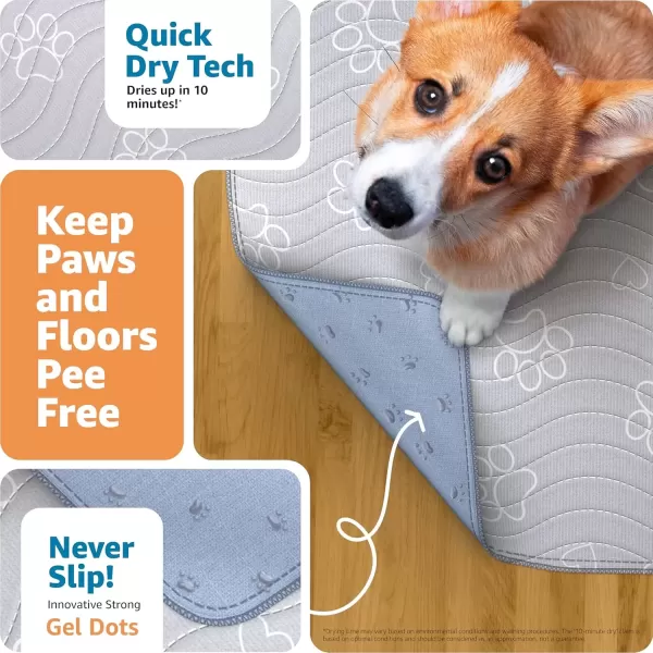 imageIMPROVIA Reusable Puppy Pad  Waterproof ExtraAbsorbent Washable Pee Pad for Dog Training Whelping ampamp More  Protect Your Floors ampamp Pet with QuickDrying Potty Pad 2 Pack  18x242 Pack  18x24