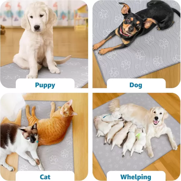 imageIMPROVIA Reusable Puppy Pad  Waterproof ExtraAbsorbent Washable Pee Pad for Dog Training Whelping ampamp More  Protect Your Floors ampamp Pet with QuickDrying Potty Pad 2 Pack  18x241 Pack  72x72
