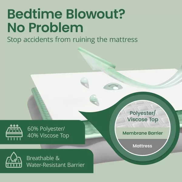 imageSafeRest 100 Waterproof Queen Size Mattress Protector  Fitted with Stretchable Pockets  Machine Washable Cotton Mattress Cover for BedBamboo Viscose