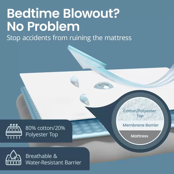 imageSafeRest 100 Waterproof Queen Size Mattress Protector  Fitted with Stretchable Pockets  Machine Washable Cotton Mattress Cover for BedOriginal Cotton Terry