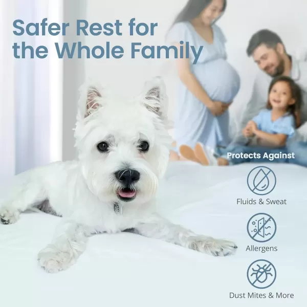 imageSafeRest 100 Waterproof Queen Size Mattress Protector  Fitted with Stretchable Pockets  Machine Washable Cotton Mattress Cover for BedOriginal Cotton Terry