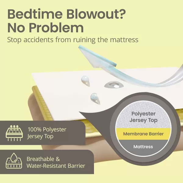 imageSafeRest 100 Waterproof Queen Size Mattress Protector  Fitted with Stretchable Pockets  Machine Washable Cotton Mattress Cover for BedPolyester