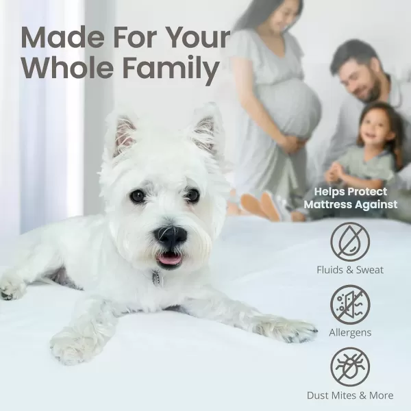 imageSafeRest 100 Waterproof Queen Size Mattress Protector  Fitted with Stretchable Pockets  Machine Washable Cotton Mattress Cover for BedPolyester