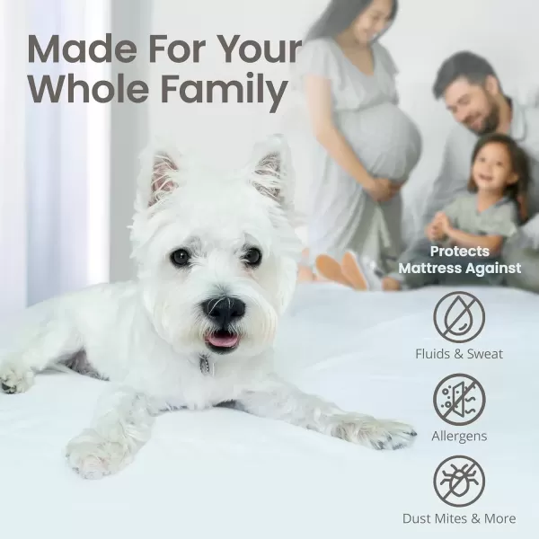 imageSafeRest 100 Waterproof Queen Size Mattress Protector  Fitted with Stretchable Pockets  Machine Washable Cotton Mattress Cover for BedPolyester