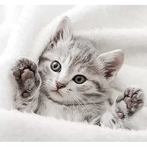 imageWaterproof Blanket Soft Microfiber ampamp Warm Sherpa Double Sided for MultiUse ampamp Machine Washable 40quotx30quot Fleece Dog Blanket