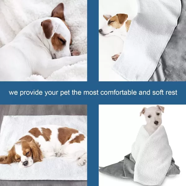 imageWaterproof Blanket Soft Microfiber ampamp Warm Sherpa Double Sided for MultiUse ampamp Machine Washable 40quotx30quot Fleece Dog Blanket