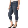 imageNYDJ Womens Plus Size Lorena Skinny Boyfriend JeansMontpellier