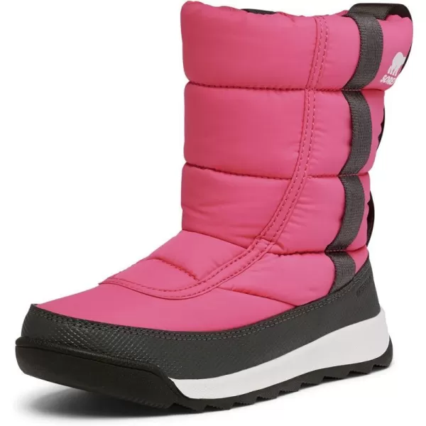 Sorel UnisexChild Childrens Whitney Ii Puffy Mid Wp Winter BootsTropic Pink