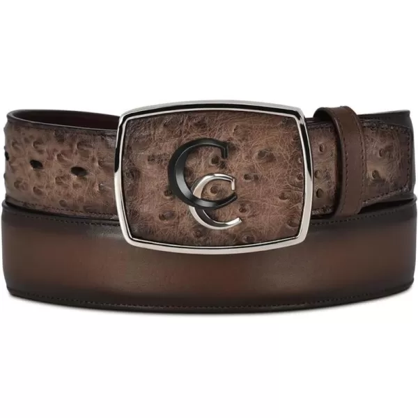 Cuadra Mens Western Belt in Ostrich Leather Brown CV496A1Cuadra Mens Western Belt in Ostrich Leather Brown CV496A1