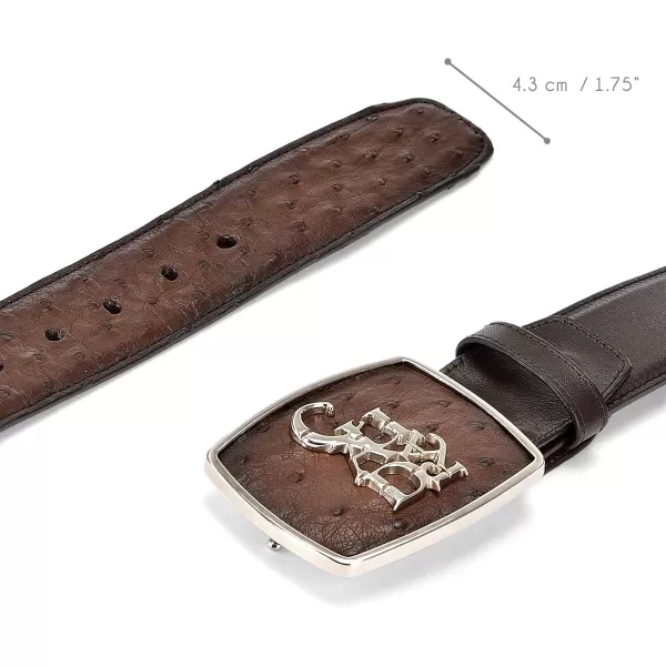 imageCuadra Mens Cowboy Belt in Genuine Ostrich Leather CV501A1