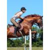 imagebaleaf Womens Horse Riding Pants Equestrian Full Seat Breeches Horseback Tights Silicone Zipped PocketBrown