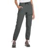 imagebaleaf Womens Hiking Pants Quick Dry Lightweight Water Resistant Elastic Waist Cargo Pants for All Seasons29steel Gray