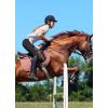image:imagebaleaf Womens Horse Riding Pants Equestrian Full Seat Breeches Horseback Tights Silicone Zipped PocketBlue