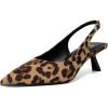 Leopard 06