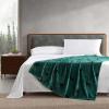 imageEddie Bauer  Throw Blanket Embossed Ultra Soft Plush Bedding Luxurious Bedding Set OekoTex Certified Geese Green 50quot x 70quotBuddy the Dog Green