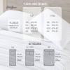 imageEddie Bauer  Twin Sheets Cotton Flannel Bedding Set Brushed For Extra Softness Cozy Home Decor Montlake Plaid TwinBeacon Hill GreyIvory