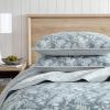 imageEddie Bauer  Twin Quilt Set Naturally Soft Cotton Bedding wa Lightweight Feel for AllYear Comfort Reversible wMatching Pillowcase 2 Piece Bed Set Moose PlaidPinstripePatchwork BlueFern Garden Green