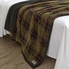 image:imageEddie Bauer  Oversized Throw Blanket 50x70 Reversible Plush Blanket for Couch or Bed Animal Print Room Decor Goose Sweater GreenBroken Branch Plaid Grey