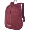 image:imageEddie Bauer Stowaway Packable Backpack  Travel  Outdoor  Lightweight  Foldable  Durable  Ripstop Polyester  30L  MarineBlack Cherry