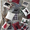 image:imageEddie Bauer  Throw Pillow Soft Decorative Pillow for Bed or Couch Christmas Decorations 20 x 20 Holiday Truck TreeBear Grey