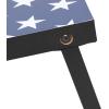 imageTriumph Sports 2x3 Premium Cornhole Sets  LED Options Available  8 Bean Bag Toss Bags and Cornhole Boards IncludedStars and Stripes