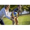 imageTriumph Sports MultiSport Versatile Combo Outdoor Game Net Set Includes Volleyball Badminton and Pickleball Blue 3575102