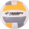 imageTriumph Sports Volleyball Sets  VolleyabllBadminton Sets AvailableTriumph Competition Volleyball Set